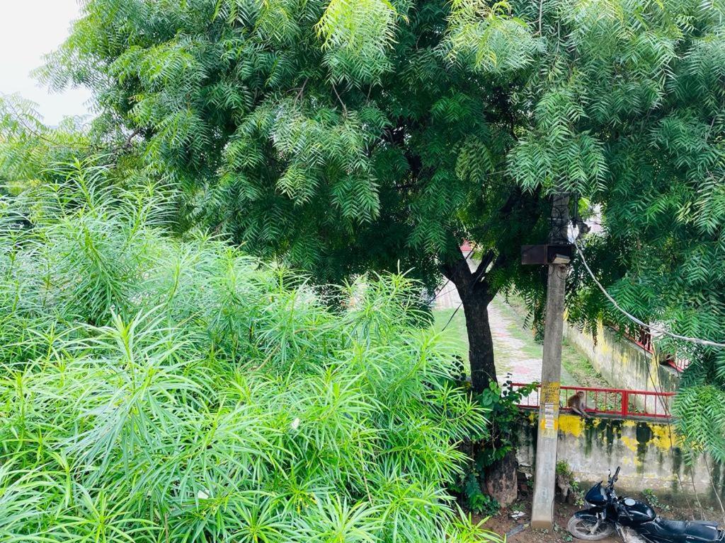 Shree Balaji Homestay Ayodhya Экстерьер фото